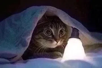 💡 Отключение электроэнергии 15 октября