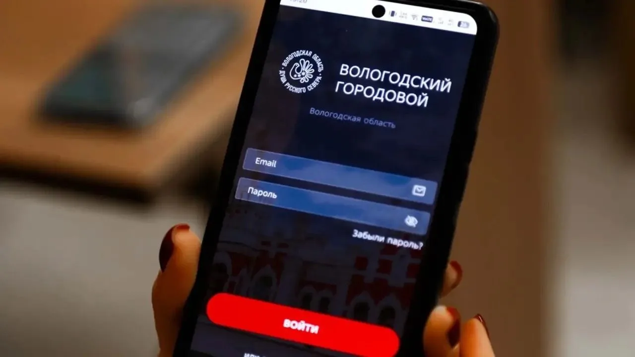Почти 13 тыс. проблем помог решить «Вологодский городовой» за первый год работы.