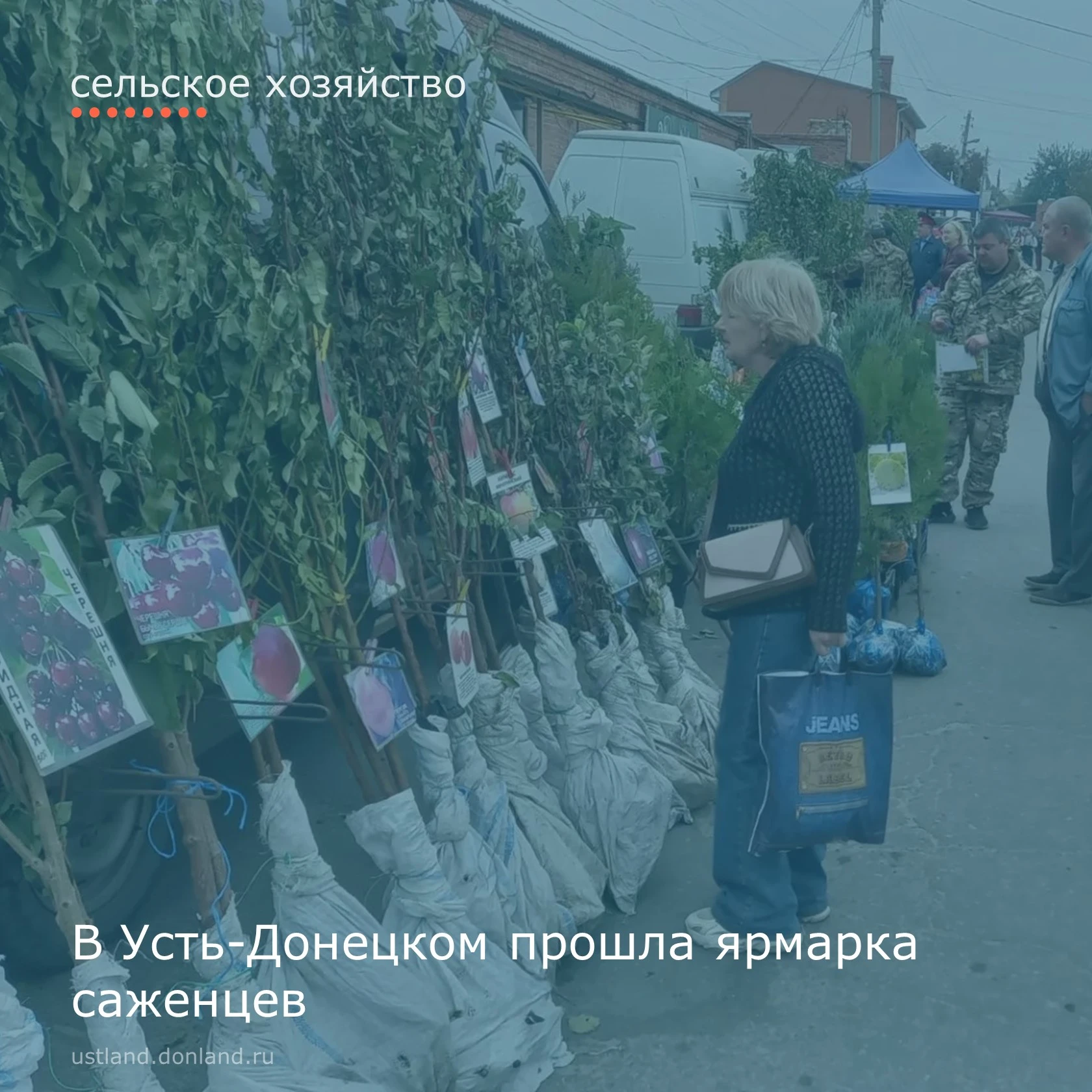 Жители и гости района могли приобрести различные саженцы: плодовых, хвойных и лиственны...