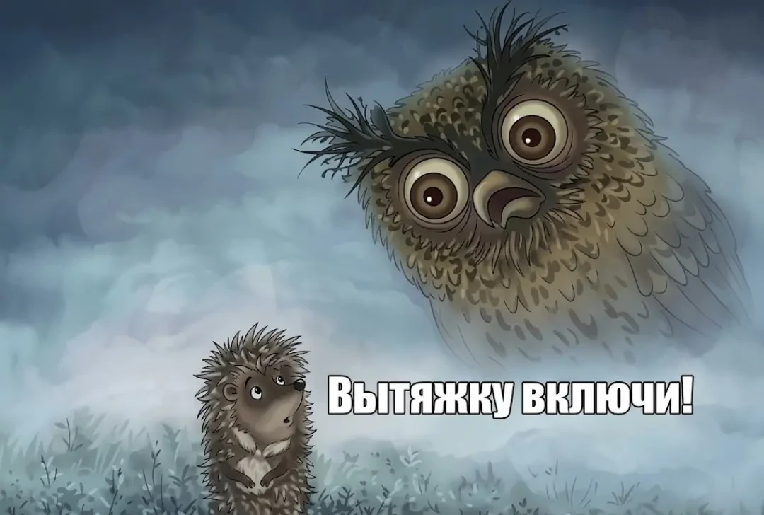 Спасибо за реакции — очень ценю!