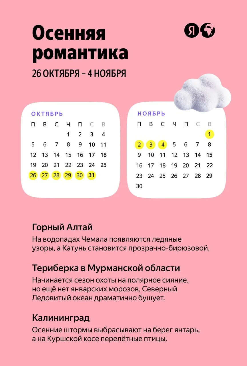 Отложили учебники, собираем чемодан! 🧳