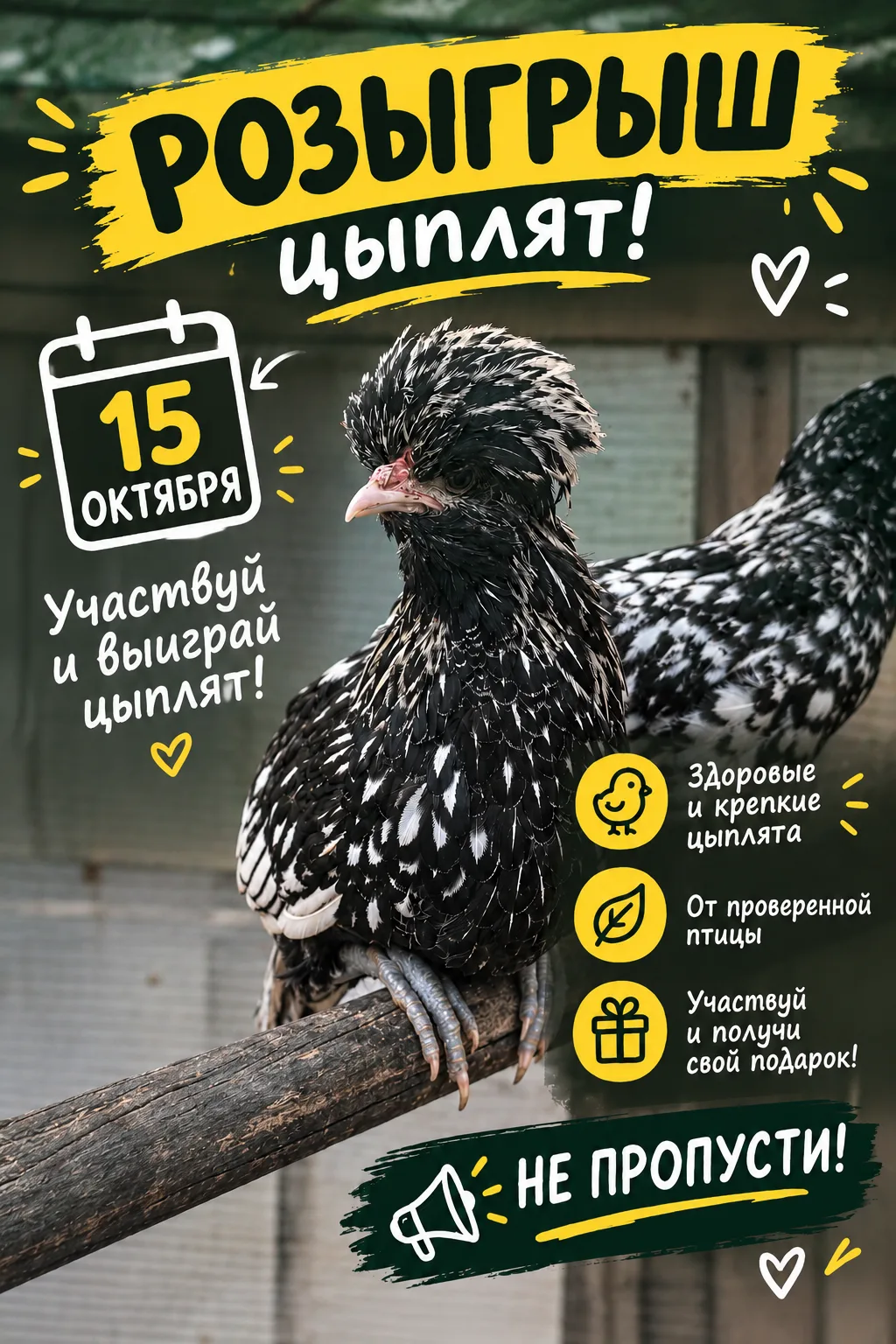 Заявки здесь, сюда пишите🤗