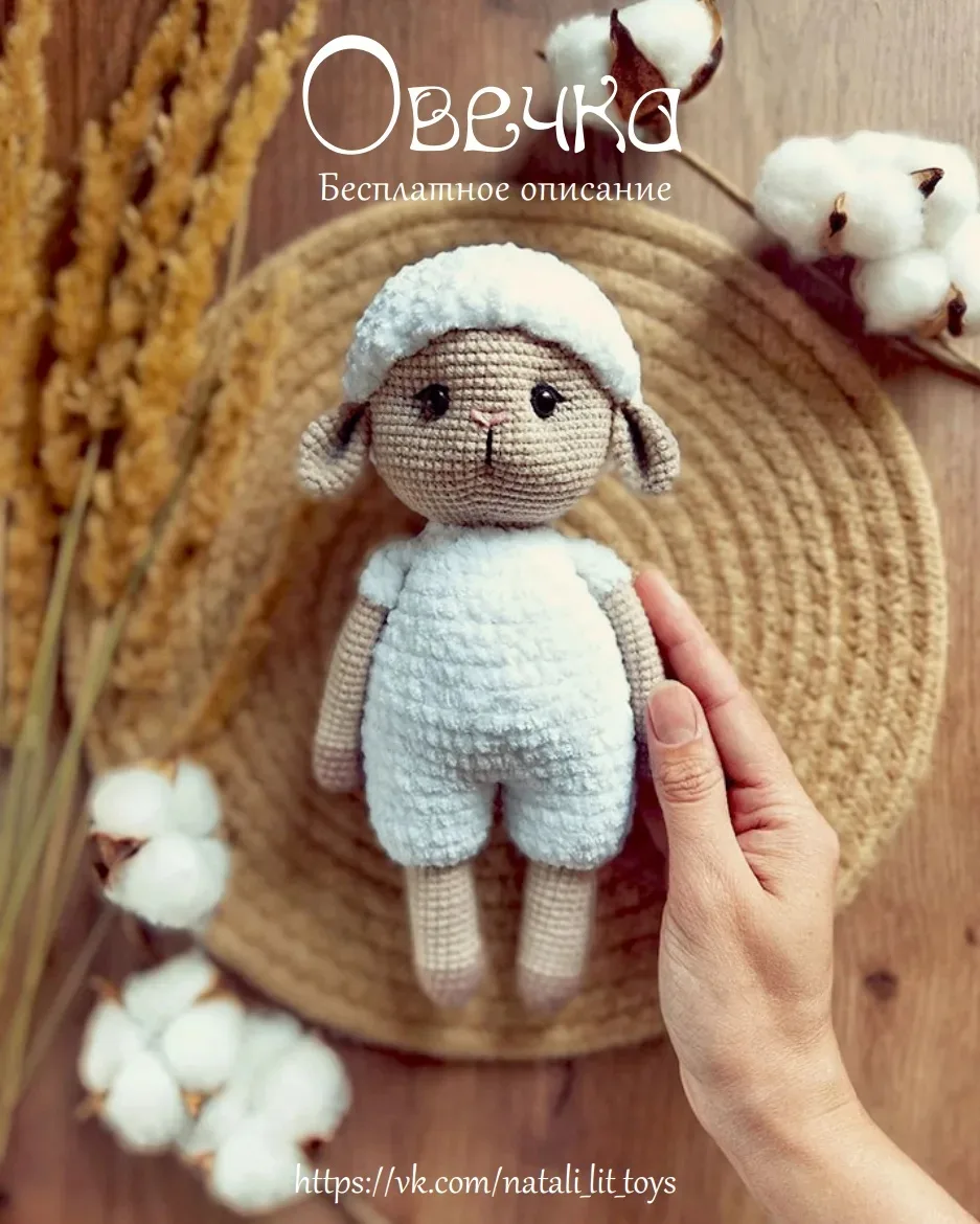 Овечка 🐑