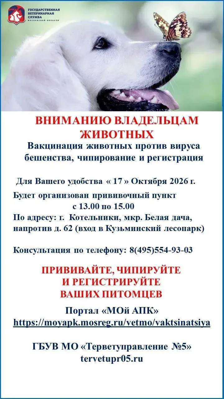 Бесплатная вакцинация питомцев от бешенства