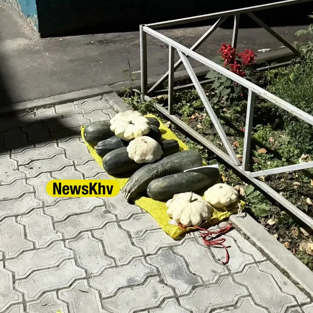 😂 Когда закончились все тёти и внуки: на улицах Хабаровска открылись пункты раздачи ка...