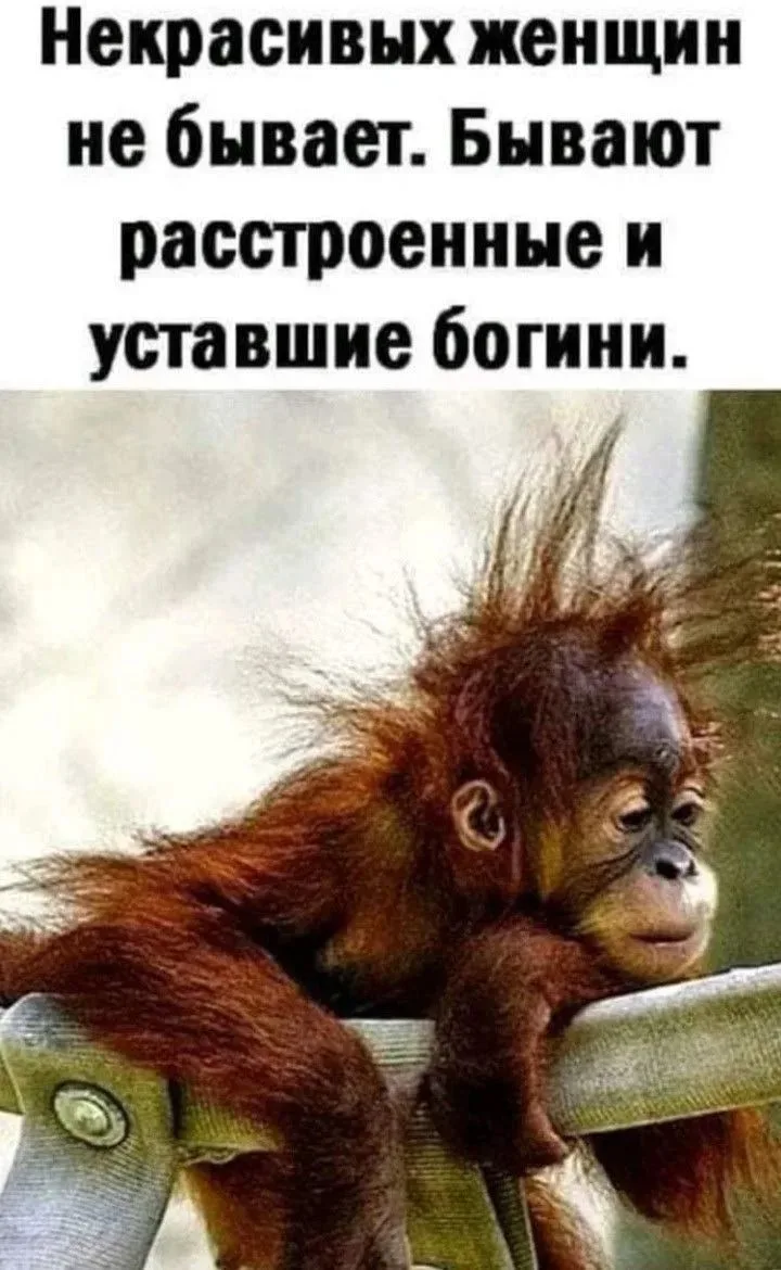 ✨ Некрасивых женщин не бывает. Бывают расстроенные и уставшие Богини…