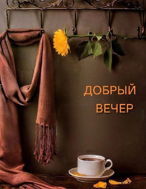 Добрый вечер