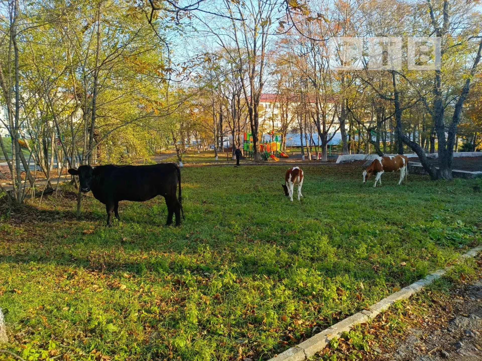 #нампишут