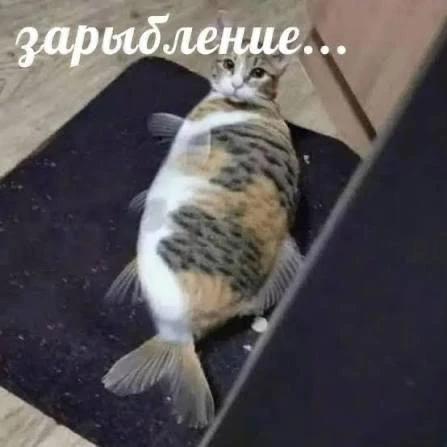 😮️️️️ Зарыбление мальком будет через…