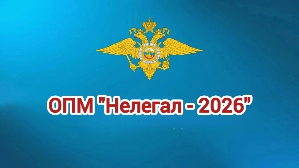 В Балашихе подвели итоги рейдов «Нелегал‑2026»: задержаны 326 иностранных граждан