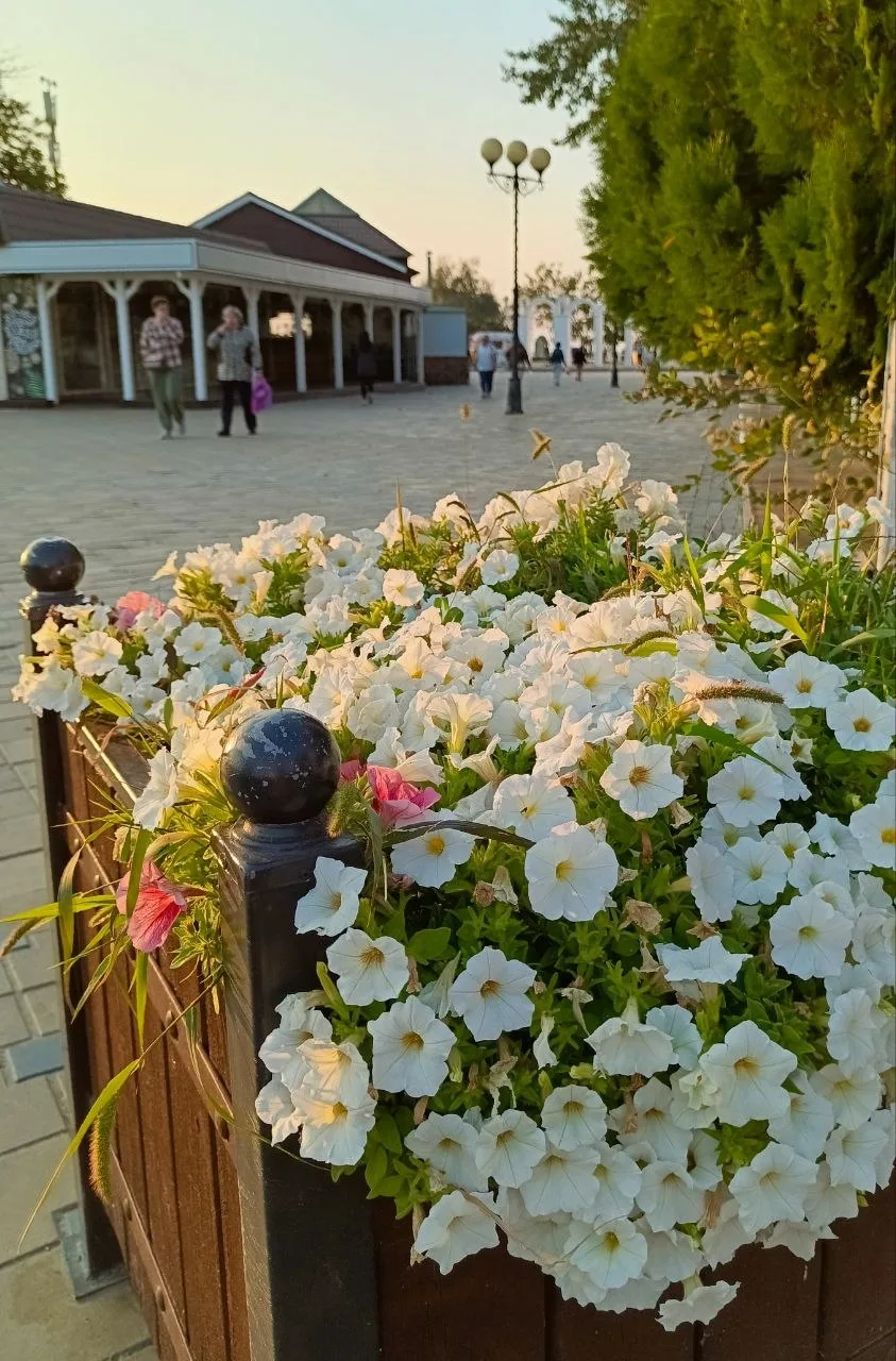 Цветочное безобразие 🌸