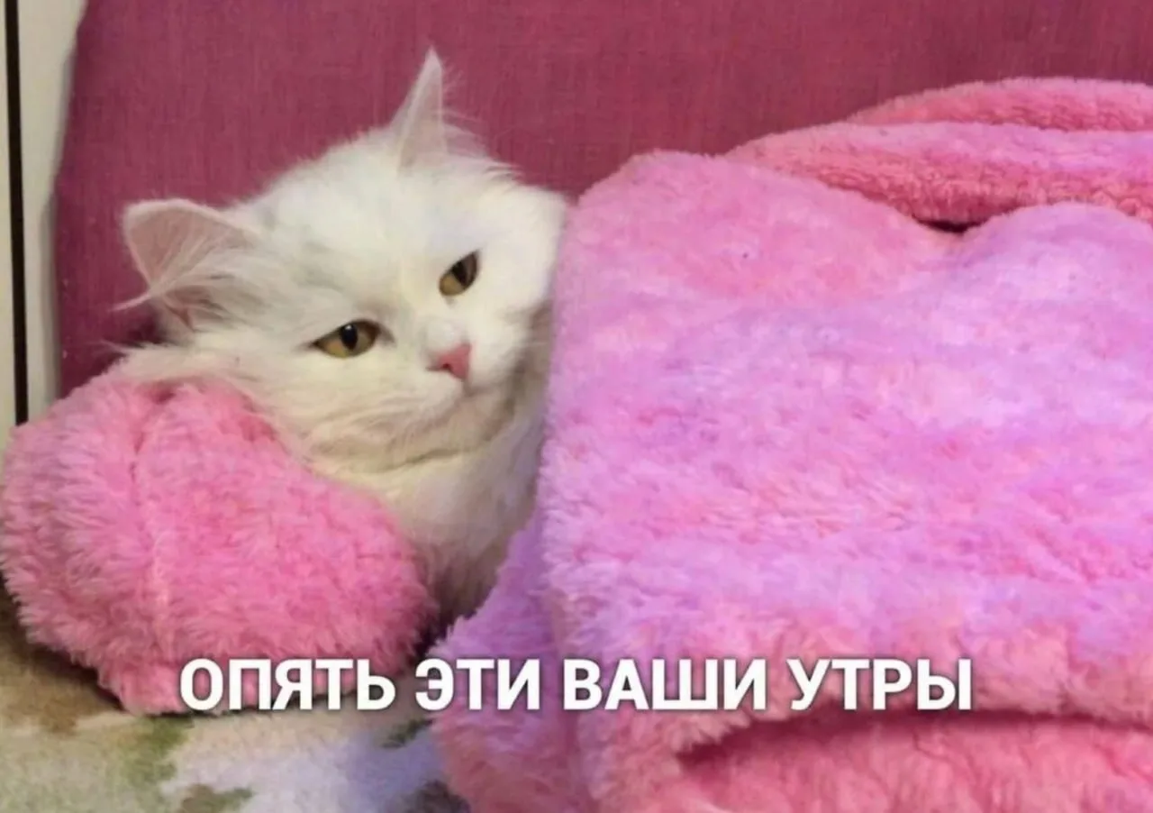 Доброе утро, красноярцы!