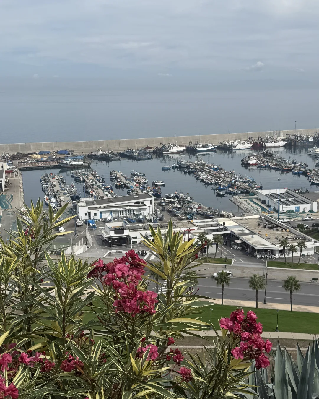 ЧТО НУЖНО ЗНАТЬ ПЕРЕД ПОЕЗДКОЙ В МАРОККО, ЧАСТЬ 2 🇲🇦