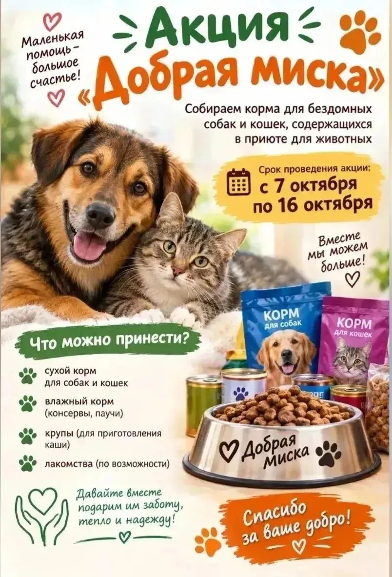 В нашем детском саду "Солнышко"🌞стартовала акция по сбору корма для животных, находящи...