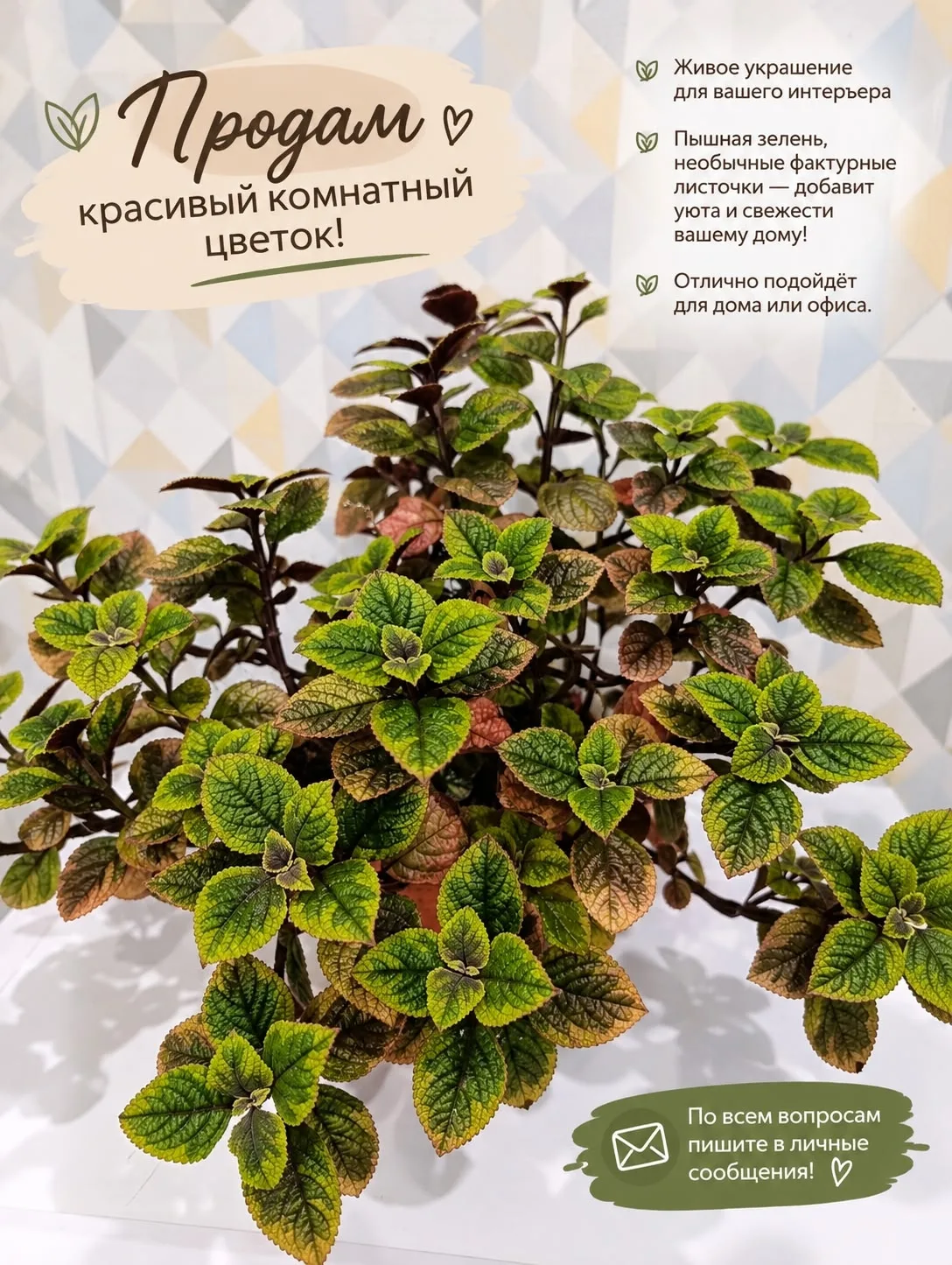 Продам, 300 руб