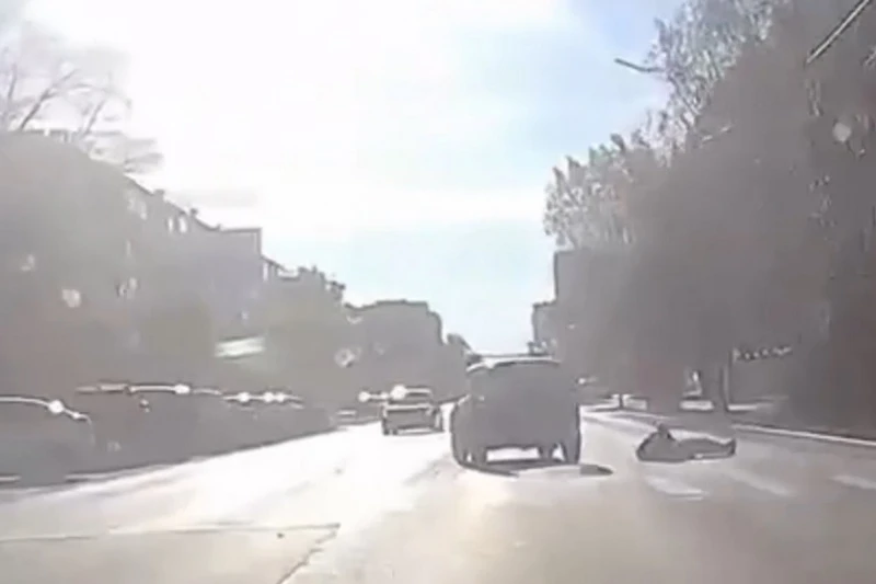 В Кургане сбили пешехода, перебегавшего дорогу на красный
