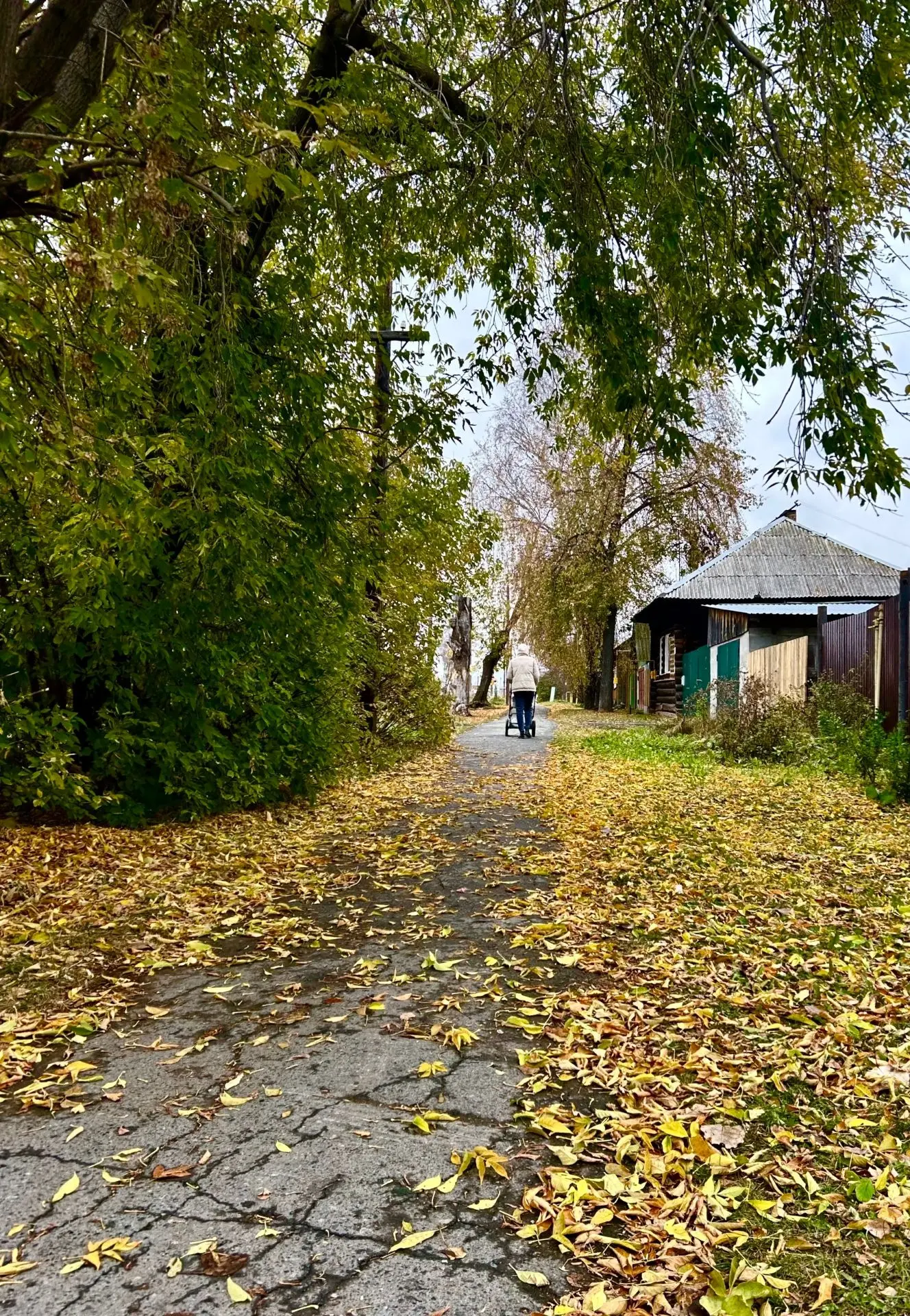 В Свердловскую область внезапно вернулось тепло: по прогнозам синоптиков, завтра в Тури...