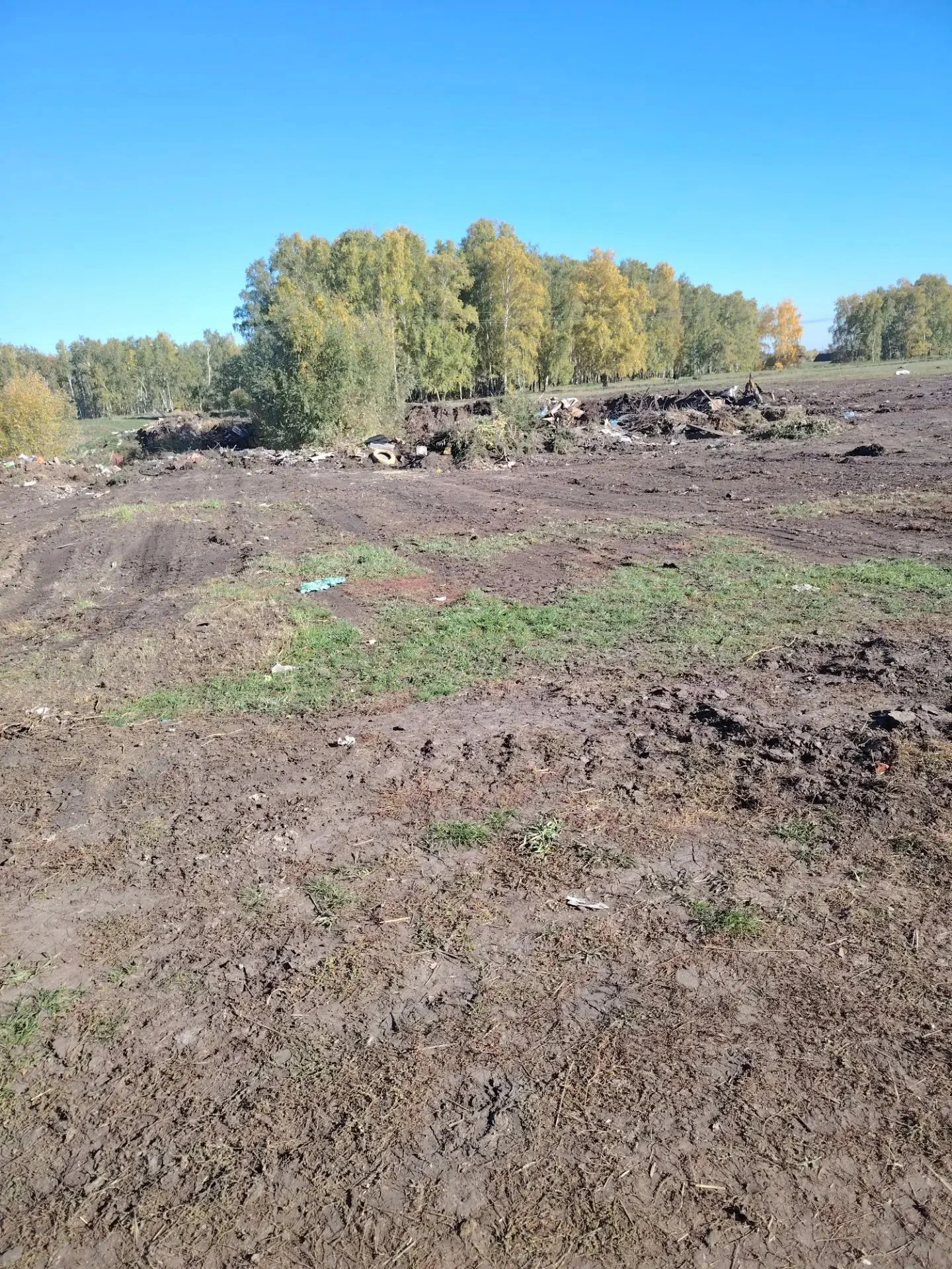 Благоустройство – шаг к комфортной жизни