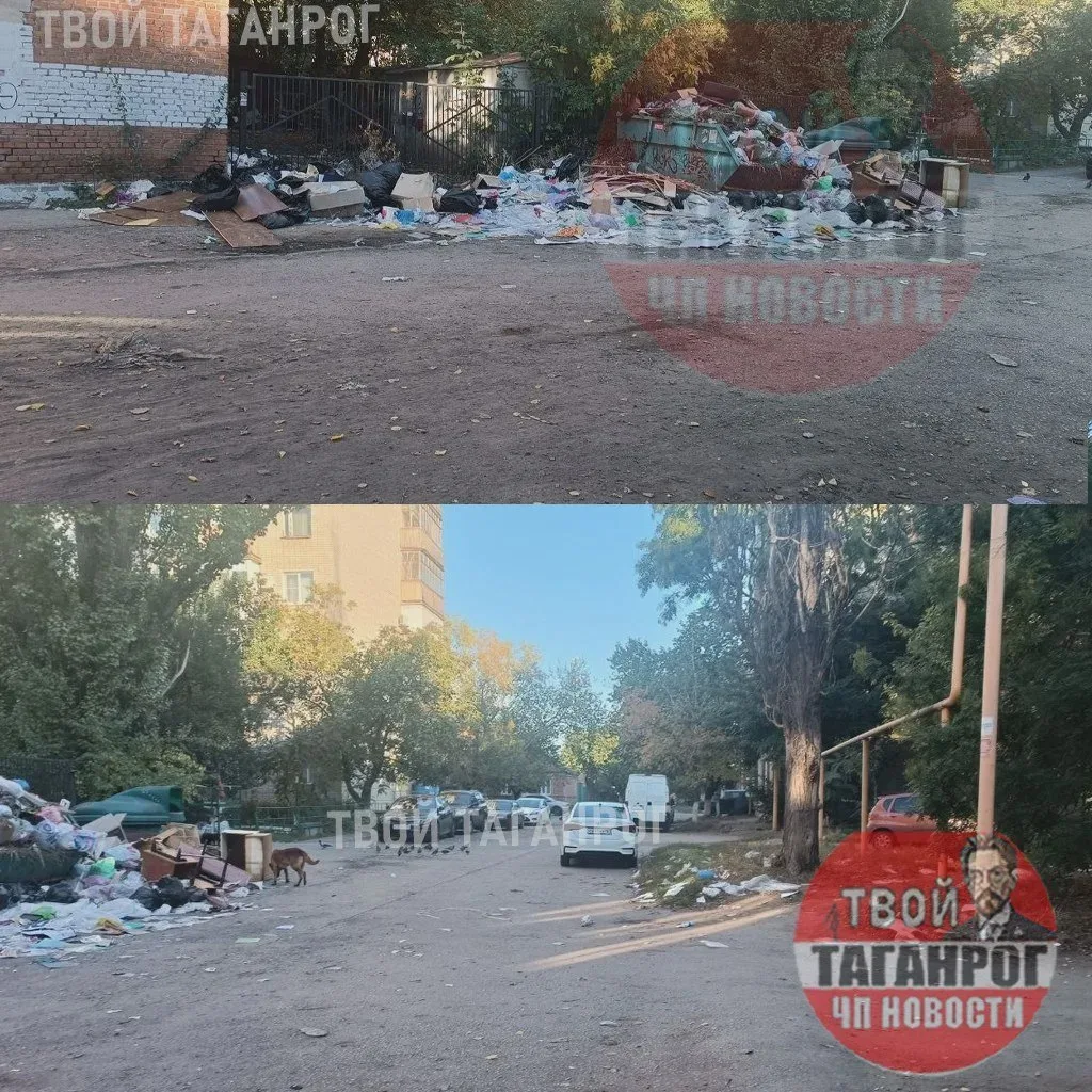 🗑️ Читатель сообщил о мусоре у перекрёстка