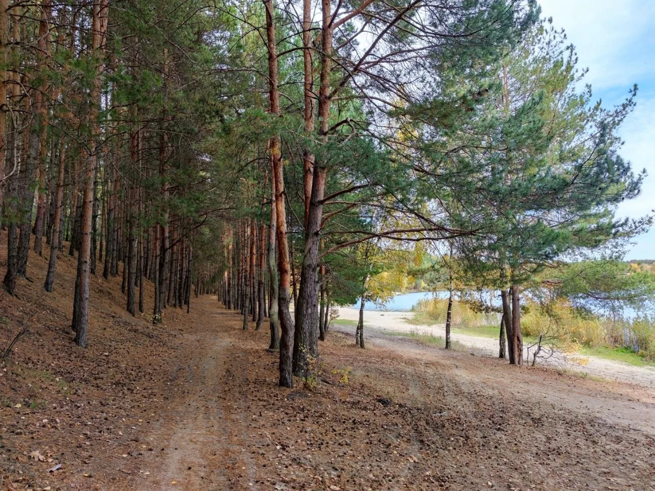 Ловите моменты, присылайте нам)
