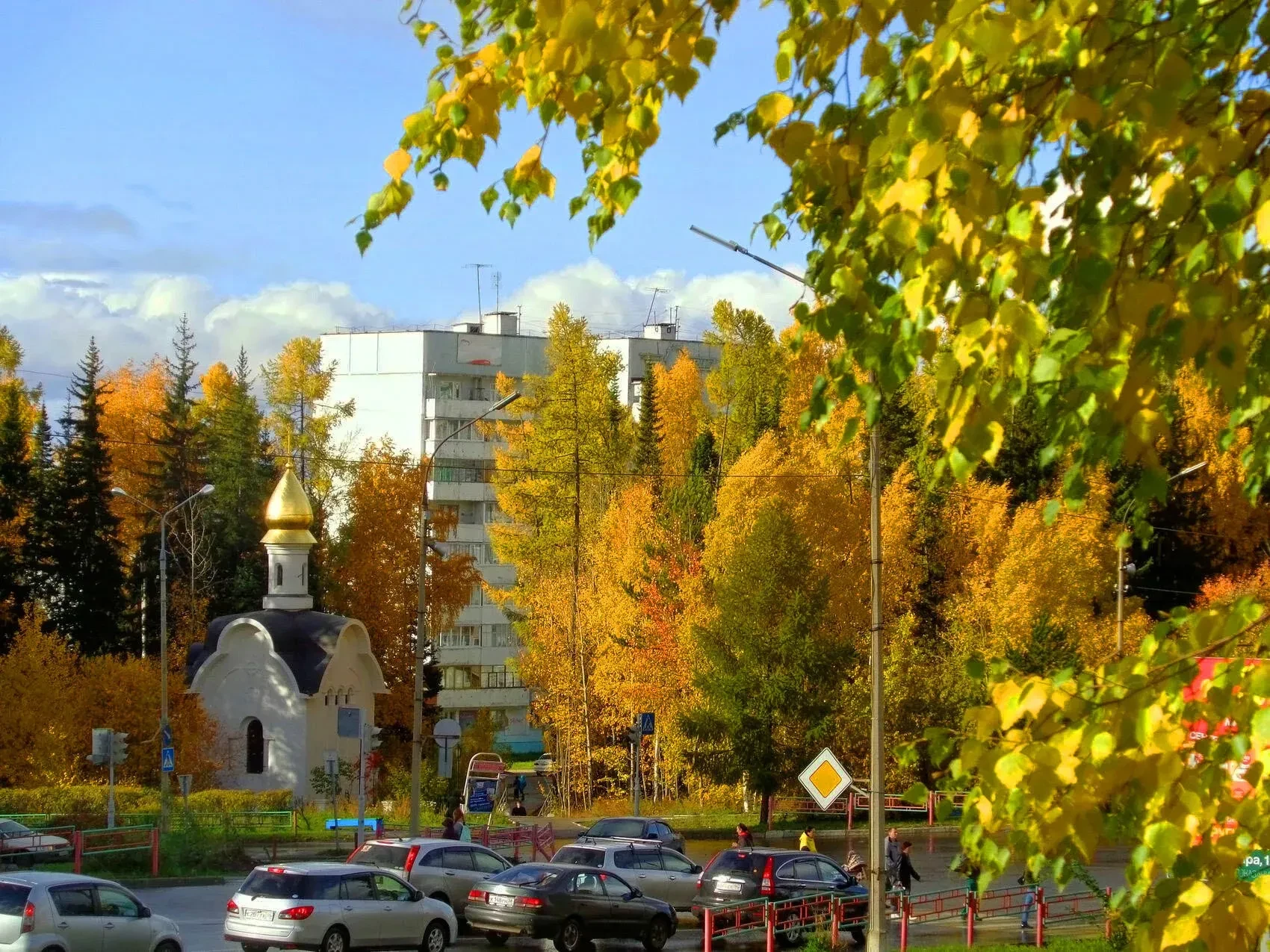 Красочные пейзажи осеннего Усть-Илимска 🍁