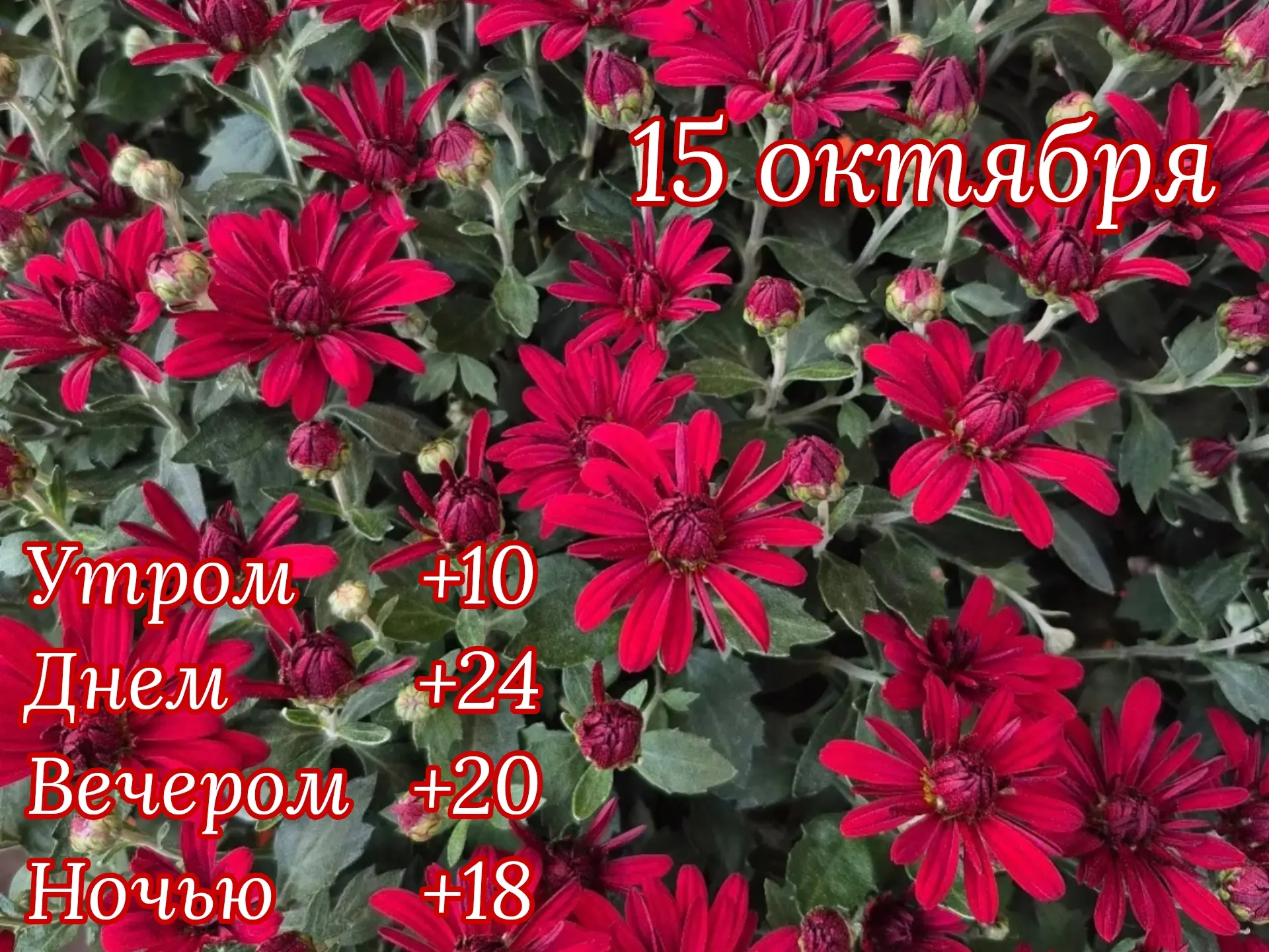 Доброе утро!