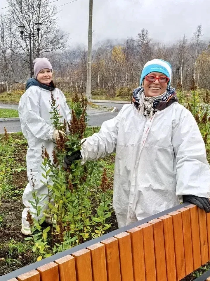 5 тысяч саженцев высадят за осень в Кировске 🌿
