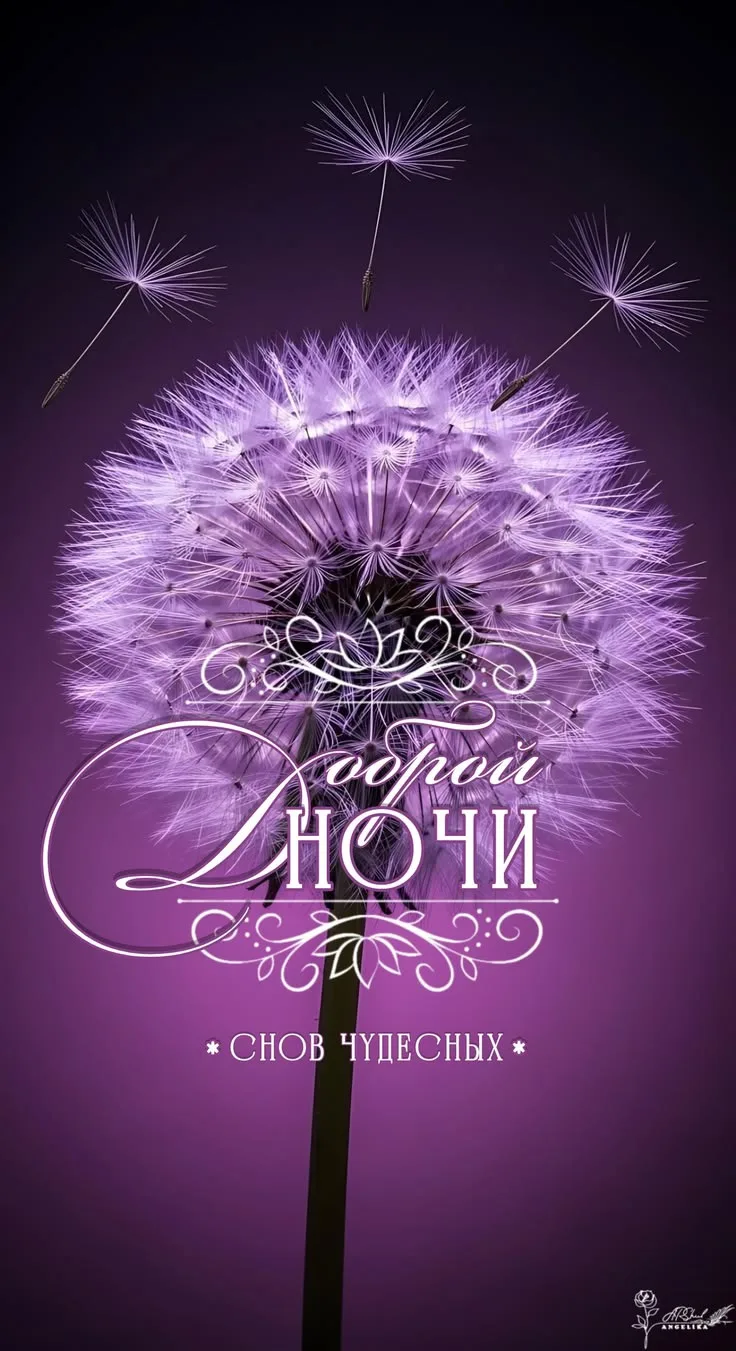 Открытки любимым 🌸🥰