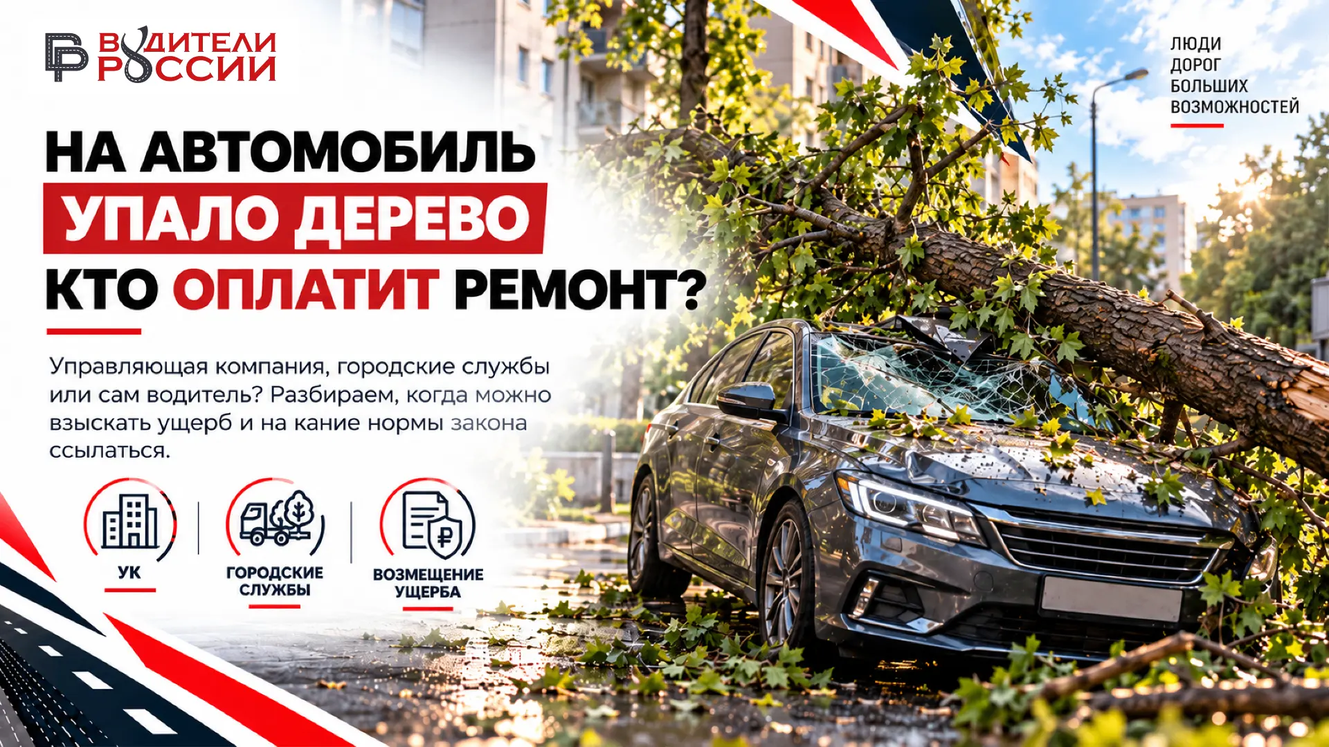 🌳 На машину упало дерево. Кто оплатит ремонт?