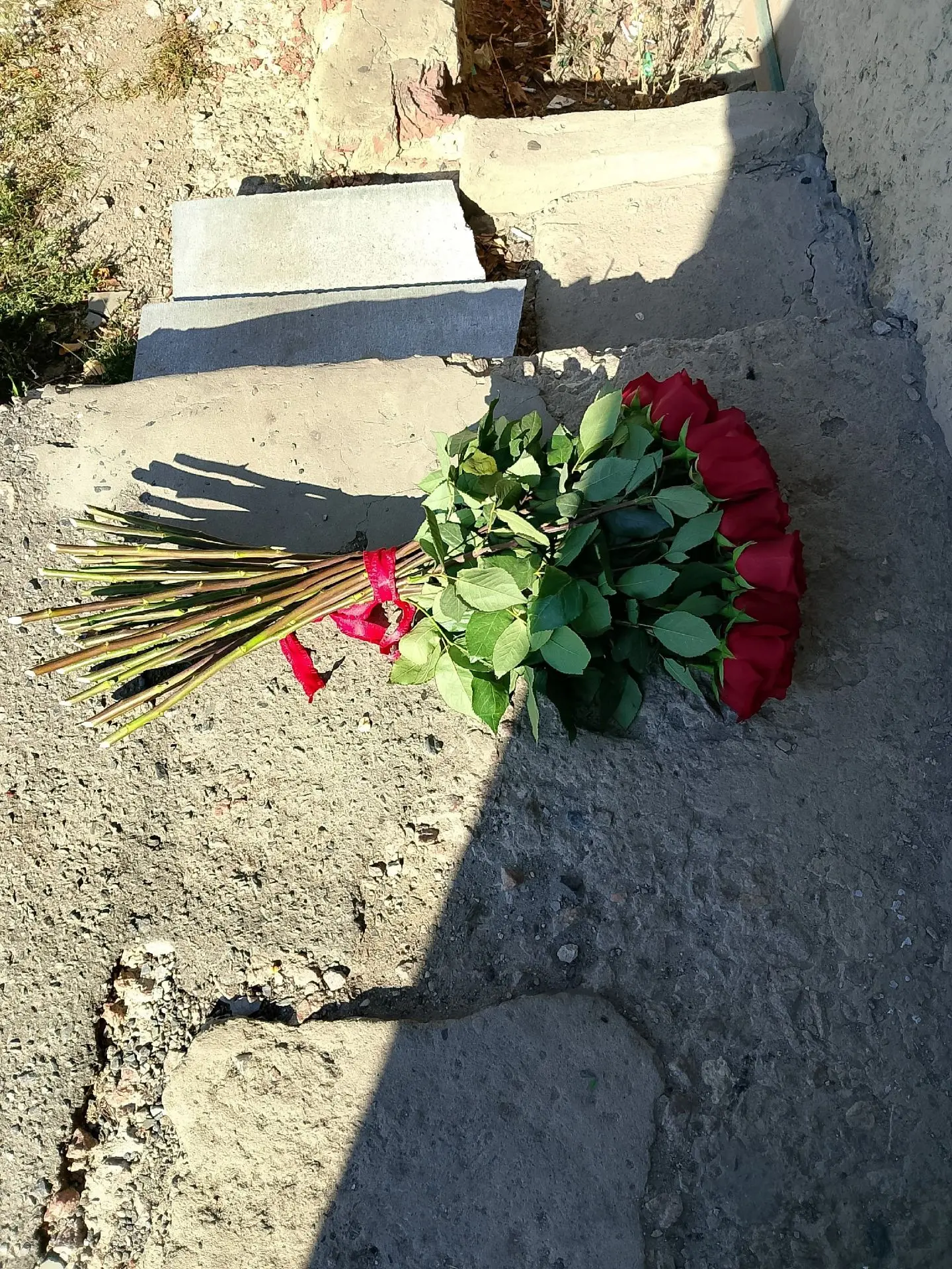 «Здравствуйте.