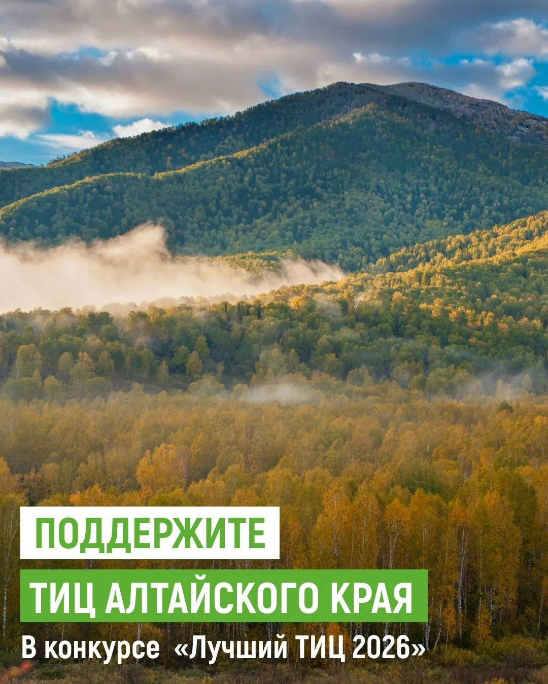 ✨ Туристский информационный центр Алтайского края — в числе претендентов на звание лучш...