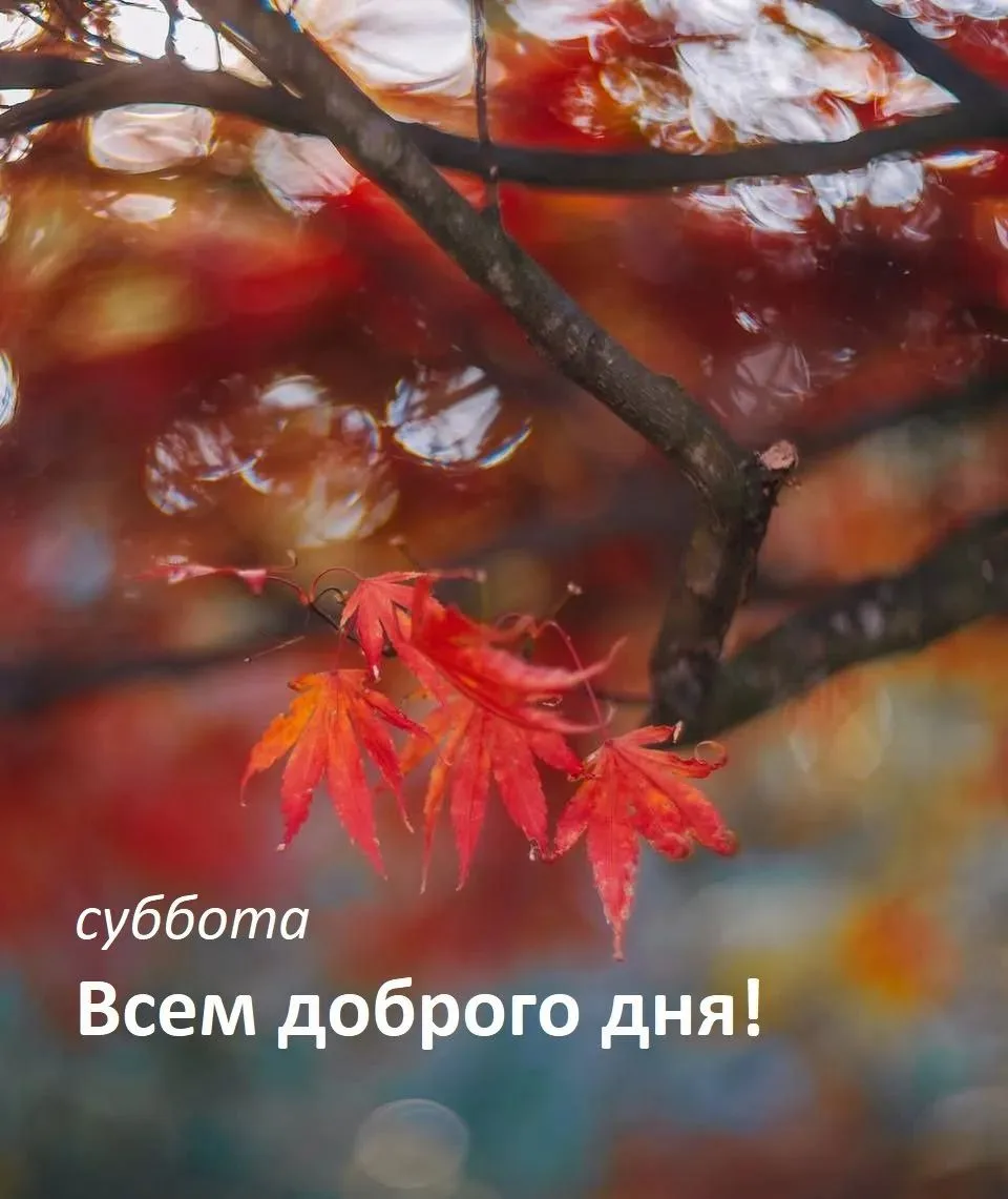 ✍️ Каждая наша мысль — это семя, которое мы сажаем в своем подсознании. Позаботьтесь о ...