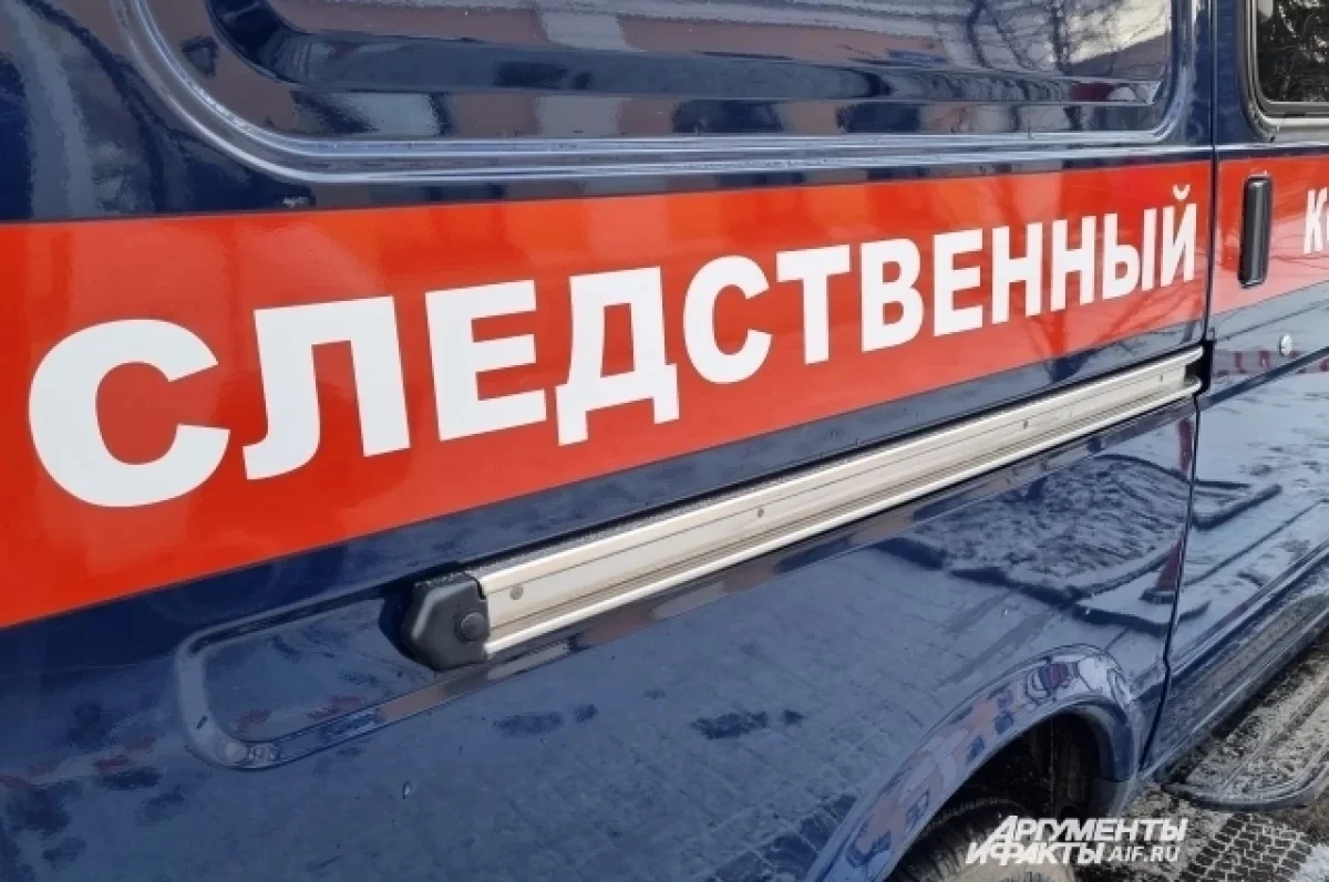 Жительница Урала попала под следствие, напав на кондуктора трамвая