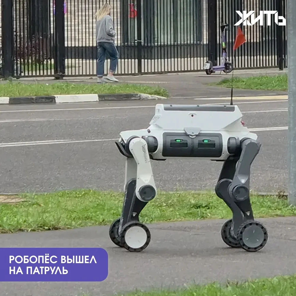 В Москве появился робот-патрульный, который фотографирует нарушителей и делает им замеч...
