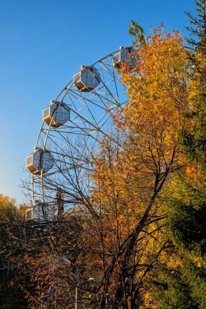 Прекрасная осень 🍁