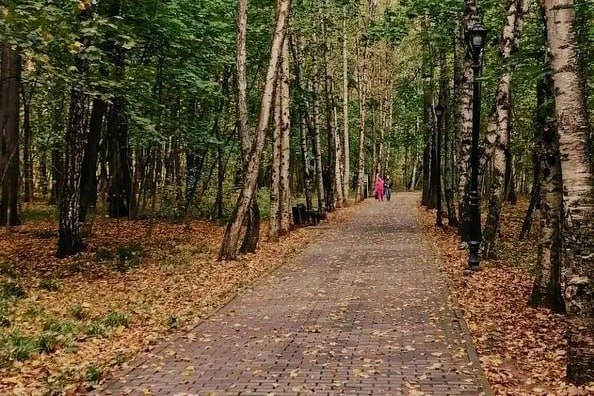 🍂 Парк «Фили» окрасился в золотые краски