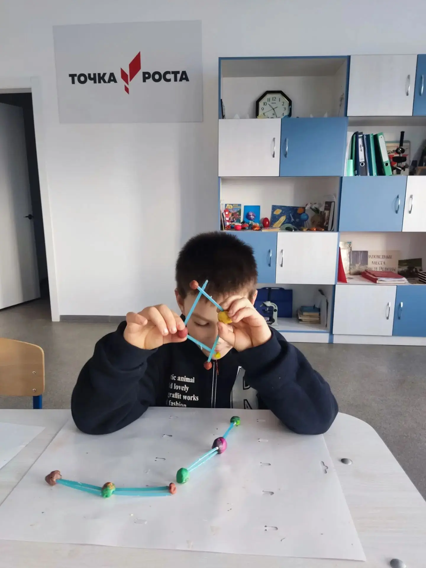 Центр естественно-научной и технологической направленностей «Точка роста».