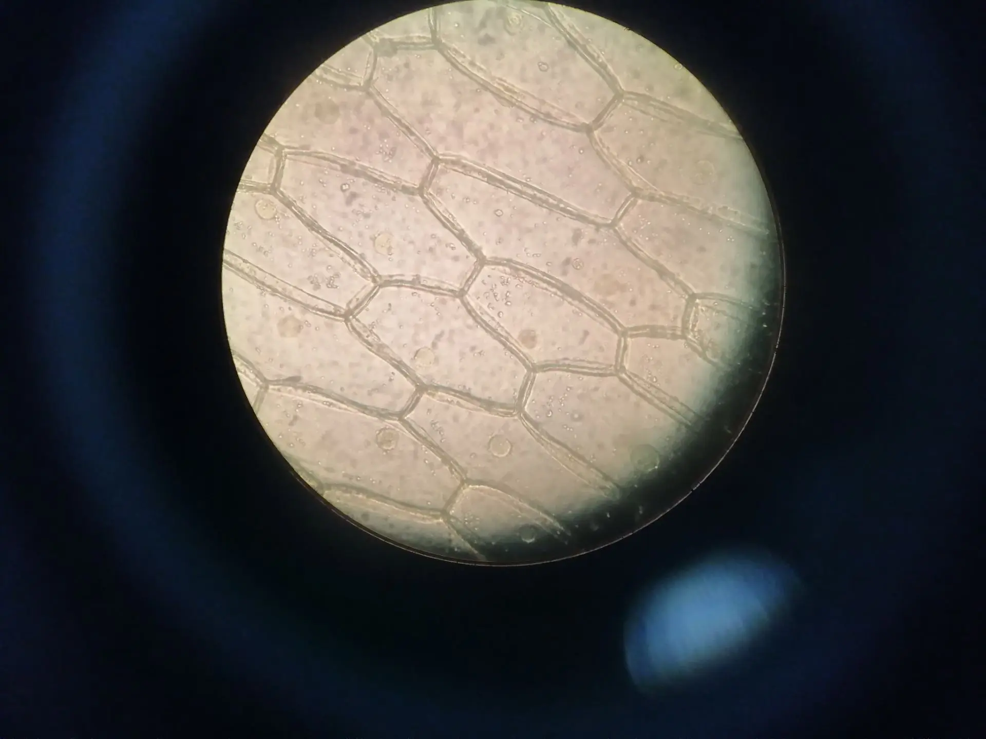 Опыты и открытия в Кванториуме! 👩‍🔬