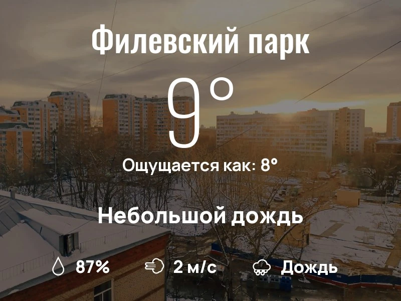 Что с погодой в Филевском парке?