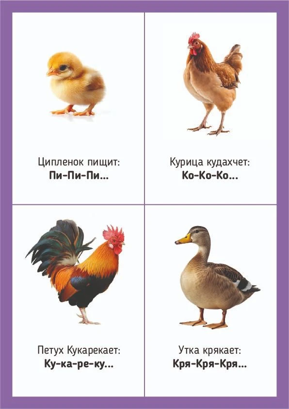 Уже знакомите малыша с миром звуков?