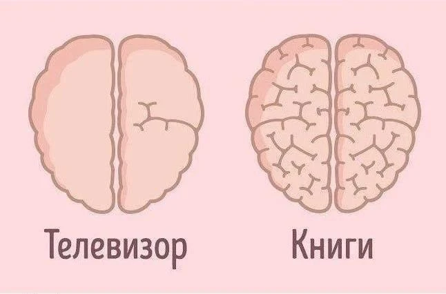 Современные исследования выявили главные причины пользы чтения: