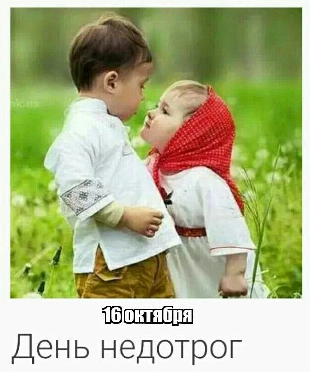 День недотрог