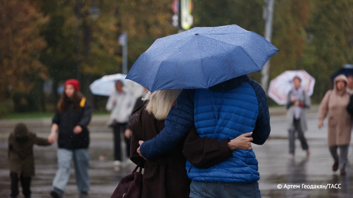 ☁️ Дождь прогнозируется предстоящей ночью в Москве и Подмосковье. Об этом сообщили ТАСС...