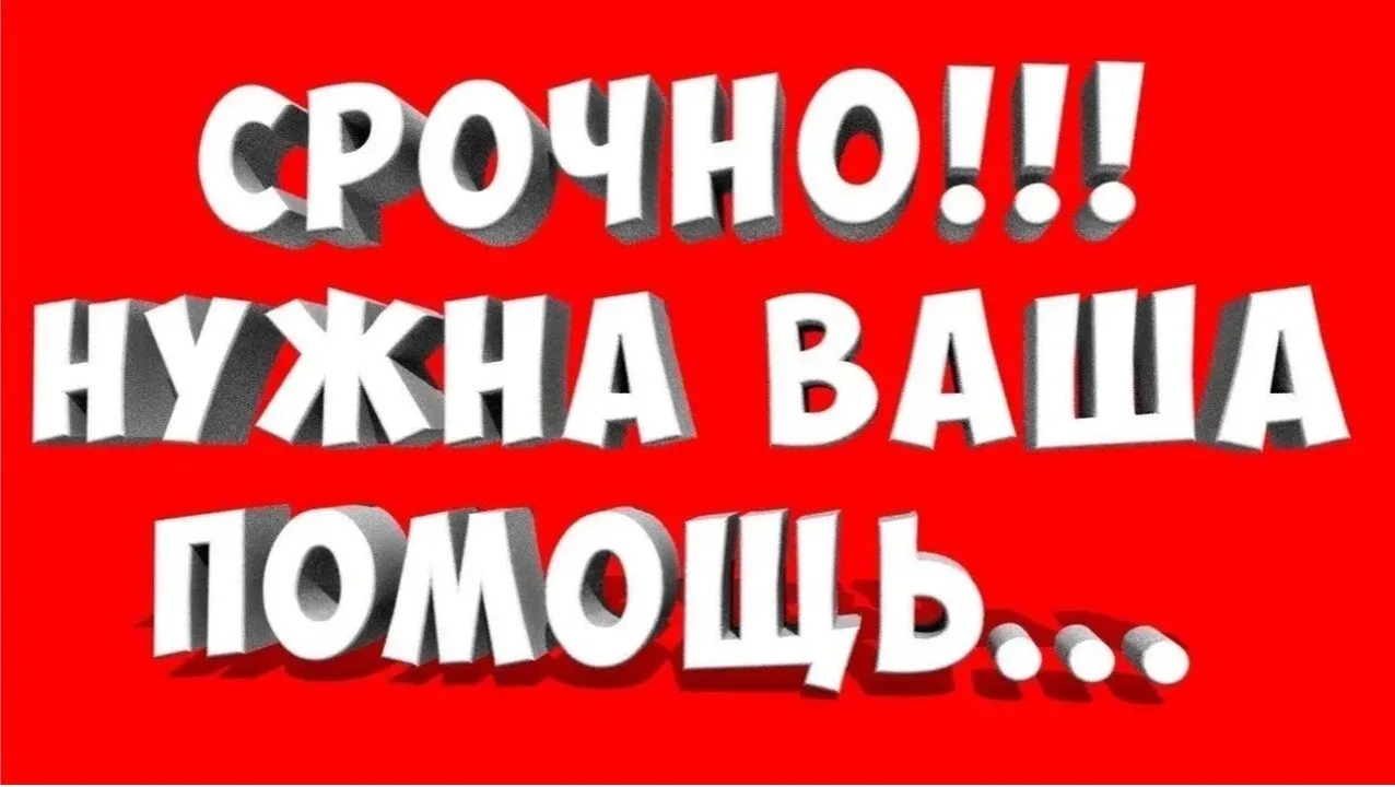 📢 Объявление для родителей учеников 5–9 классов!