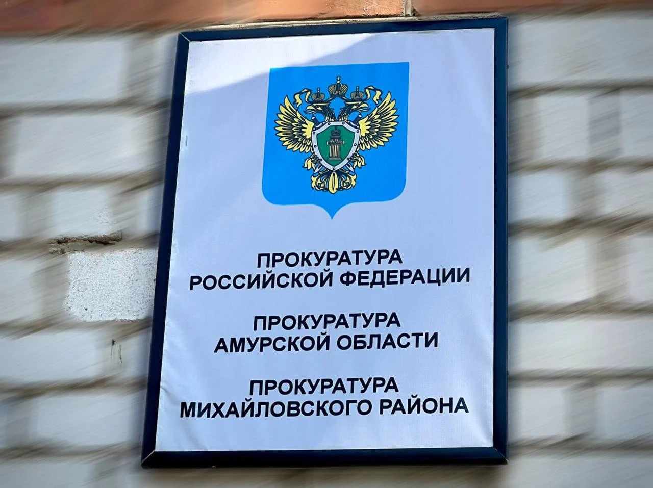 В Михайловском муниципальном округе прокуратура защитила права двух несовершеннолетних ...