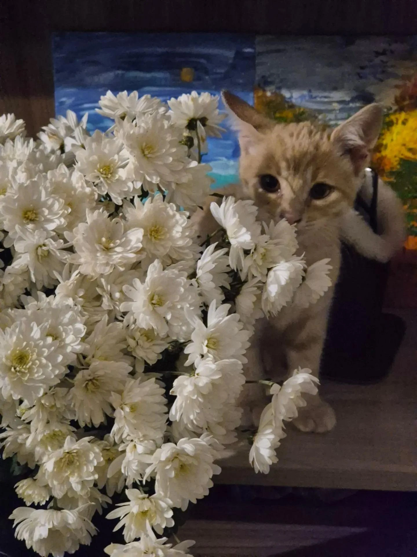 ☀️ Сегодня будет прохладно и ясно
