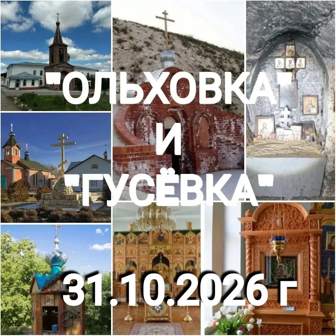 От подписчика Светлана