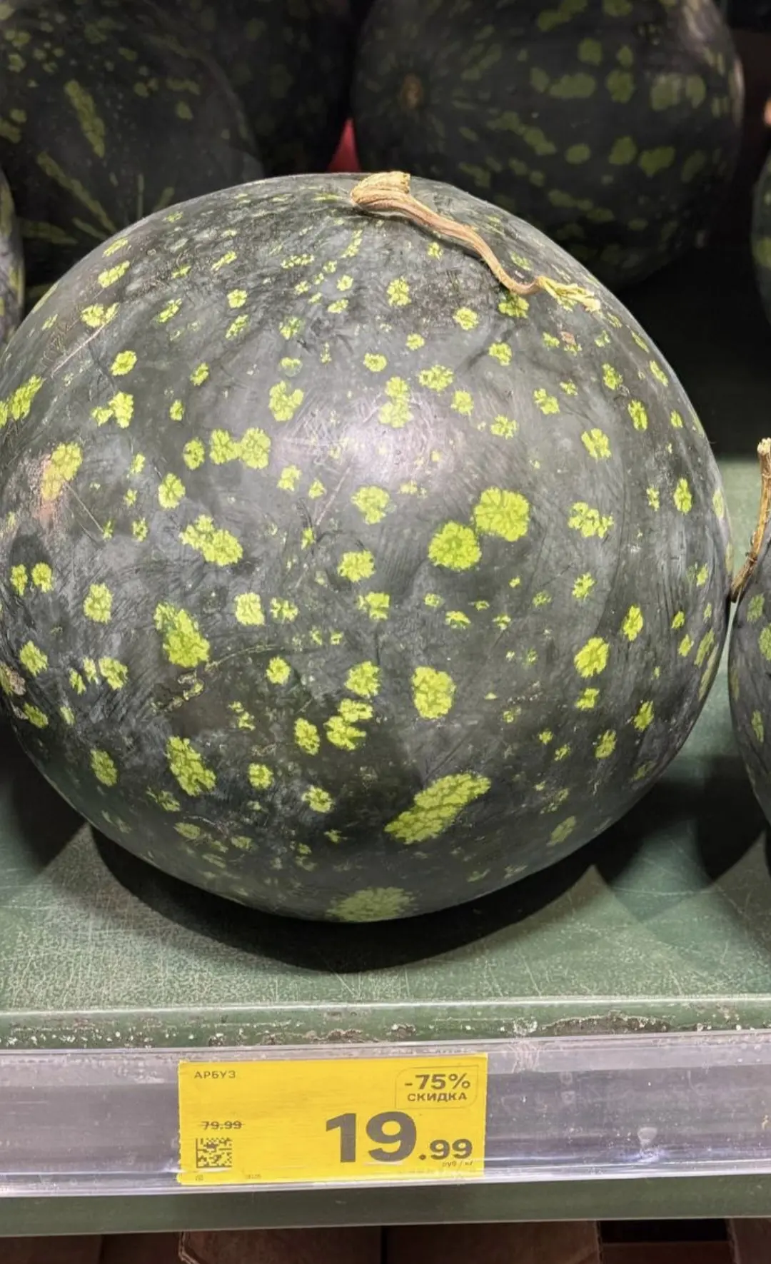 Магнит у дома 🍉