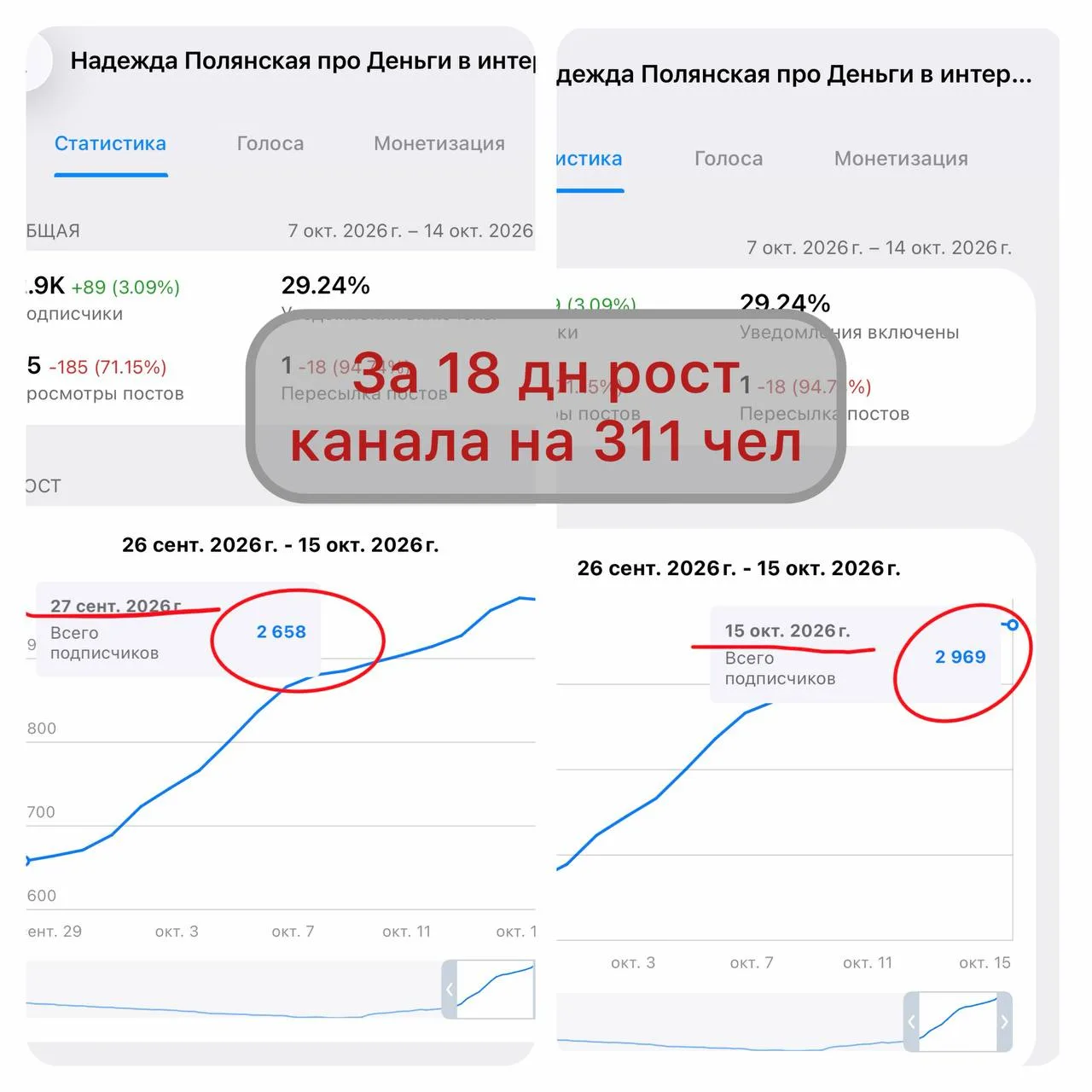 +311 подписчик в Telegram за 18 дней. Показываю, откуда они пришли