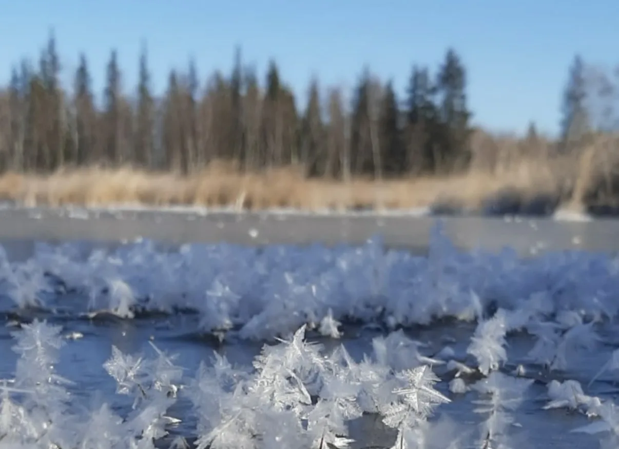 ❄ Прогноз погоды